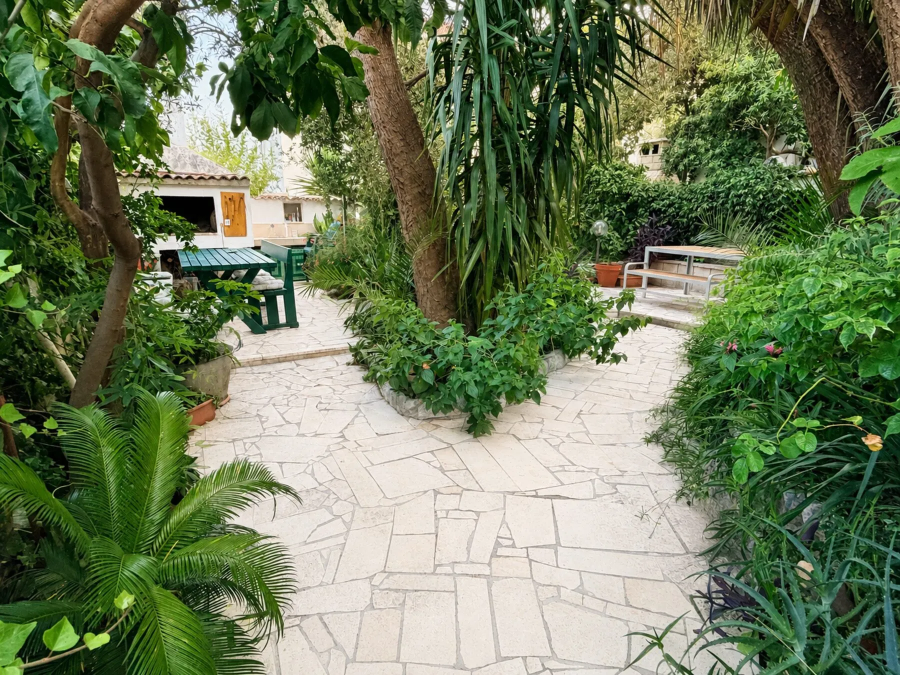 Flagstone path through the shared garden, between palms and a fig tree, at Antonio Apartments, Orebić
